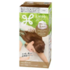 Kao Liese Creamy Bubble Hair Color Marshmallow Brown（花王泡沫染髮 棉花糖棕）