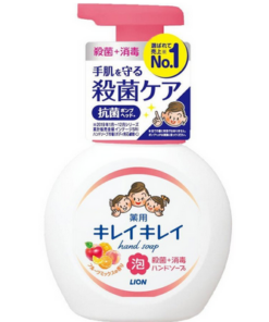 LION獅王兒童洗手液 (果香型)250ml